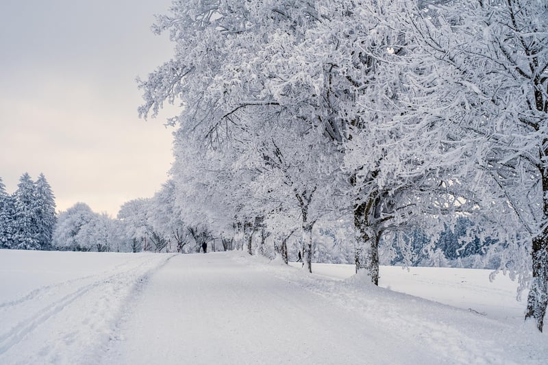 Travelers in the snow
